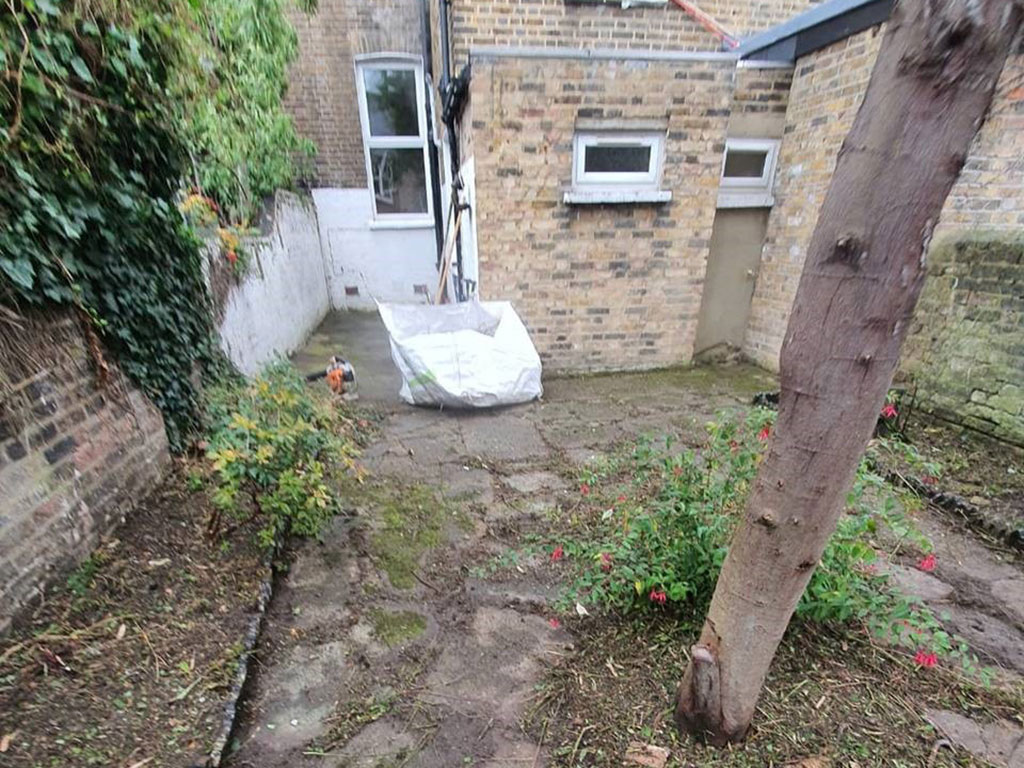 Transformation of an overgrown garden 