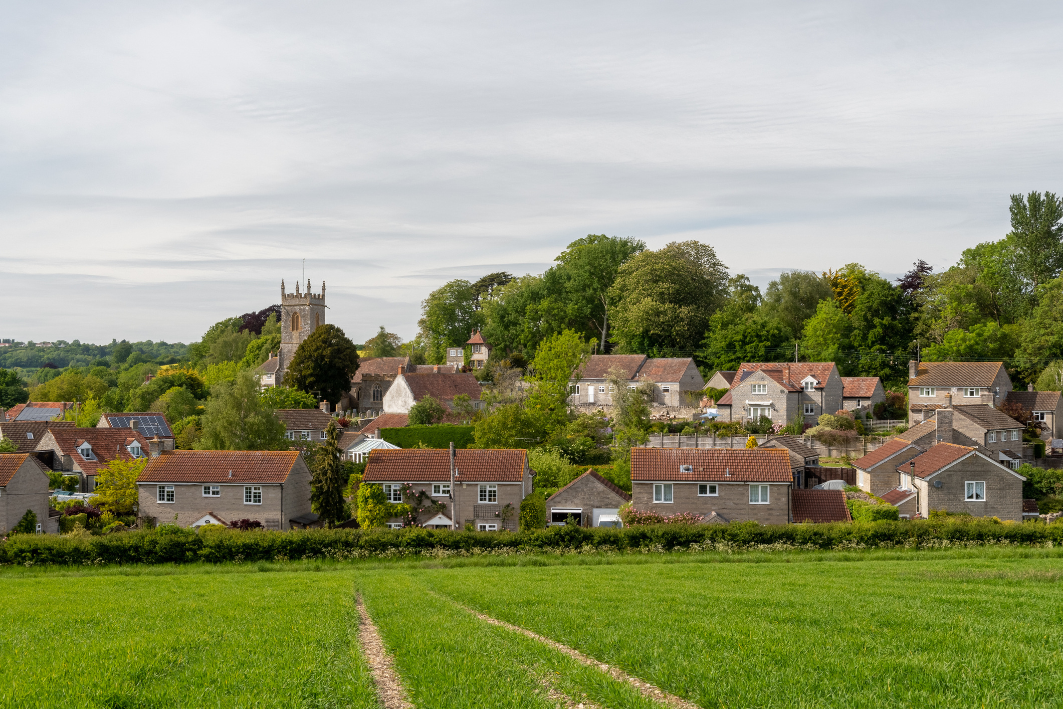 Stock image of housing estate behind a field